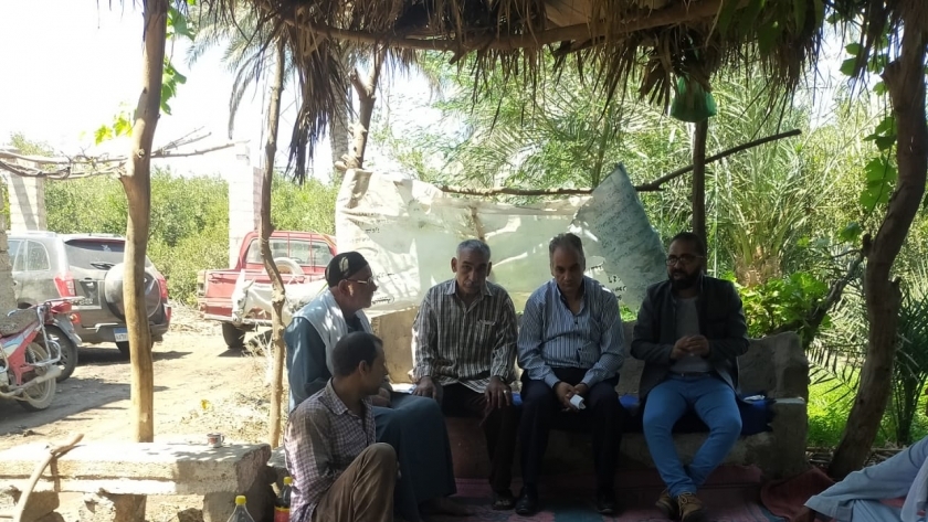 الزراعة تنظم مدرسة حقلية لتوعية المزارعين فى المنيا بخدمة النخيل