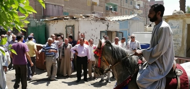 أهالى أسيوط يحتفلون بذكرى ثورة 30 يونيو بالخيول والمزمار البلدى