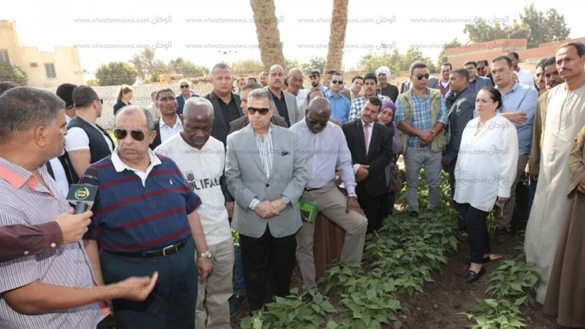 وزير الزراعة ومحافظ بني سويف يتابعا مشروع برايم للزراعة التعاقدية