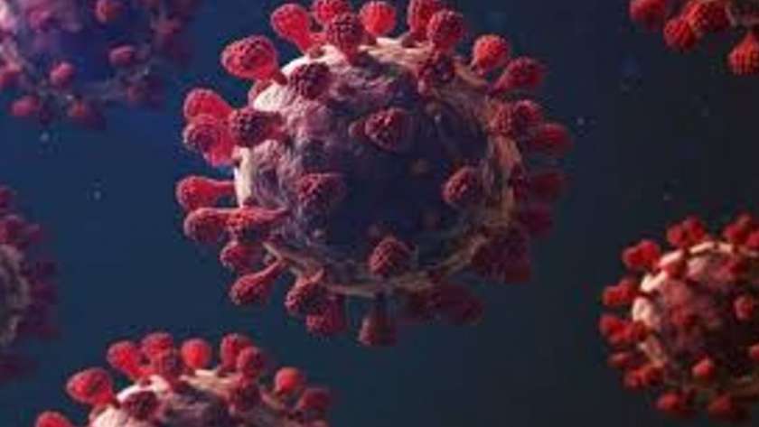 فيروس كورونا- صورة أرشيفية