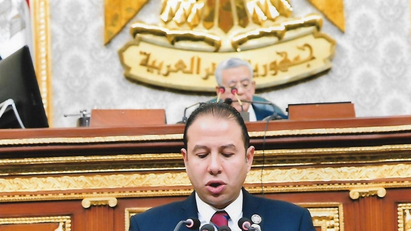 النائب حسن عمار، عضو مجلس النواب