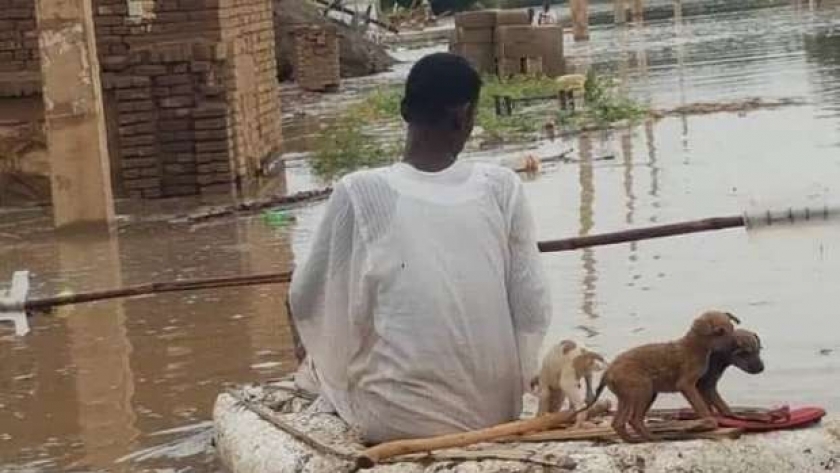 معاناة الشعب السوداني مع فيضانات السودان المدمرة