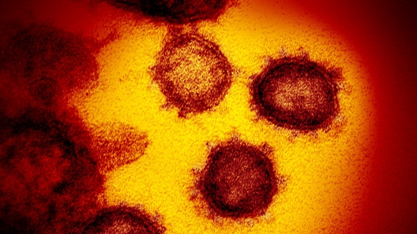 منظمة الصحة العالمية تنعت فيروس كورونا بالجائحة