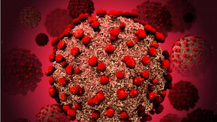منظمة الصحة العالمية تحذر من سلالة جديدة لفيروس كورونا