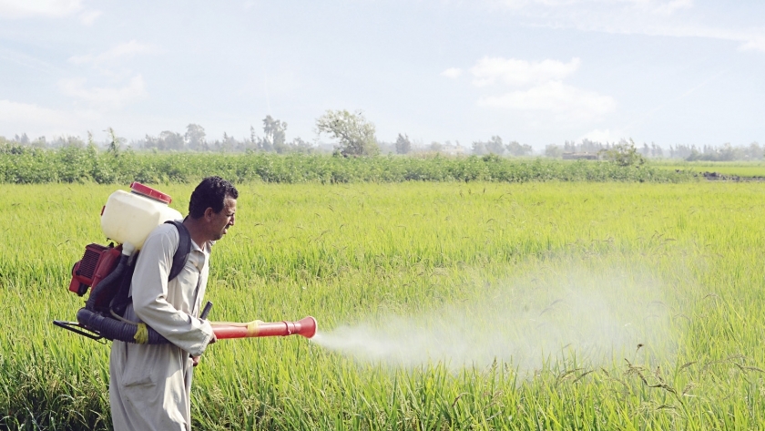 تحديات كثيرة تواجه المبيدات الزراعية