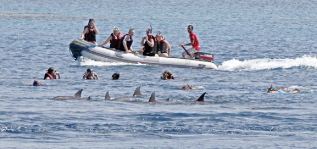 سائحون أثناء مشاهدة الدلافين بمنطقة «الفانوس»