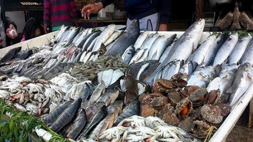أسعار الأسماك اليوم في سوق العبور