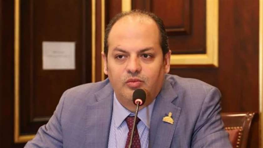النائب الدكتور أحمد عبد الماجد، عضو مجلس الشيوخ عن حزب الشعب الجمهوري