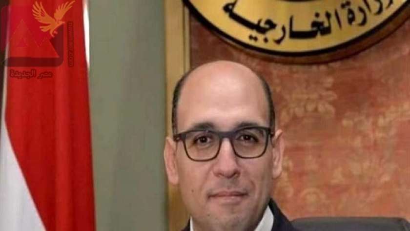 أحمد حافظ، المتحدث الرسمي باسم وزارة الخارجية،