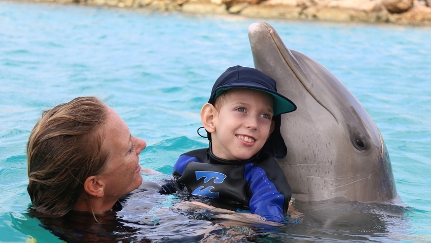 استخدام الدلافين في علاج التوحد