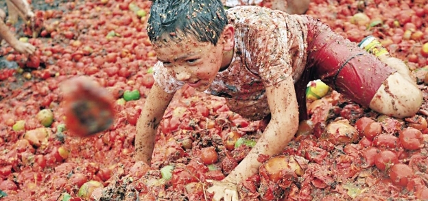 إسبانيا تحتفل بمهرجان الطماطم