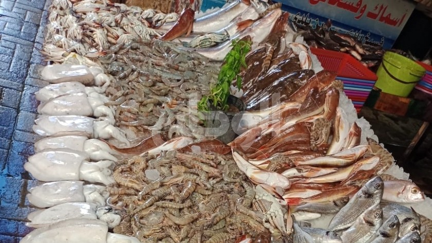 أسعار الأسماك اليوم 11-4-2023 فى سوق العبور