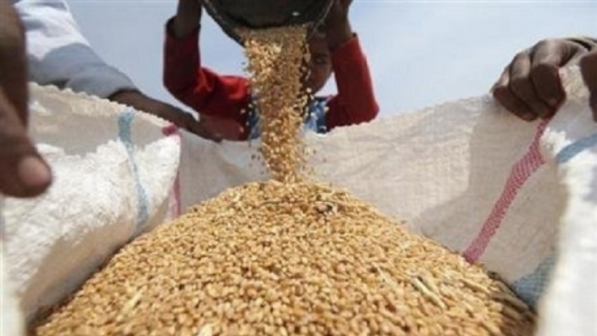 أسعار القمح تستمر في التراجع مع تمديد اتفاق الحبوب بين روسيا وأوكرانيا