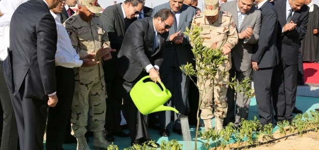 الرئيس السيسى يروى شجرة فى اطلاق استصلاح «الفرافرة»