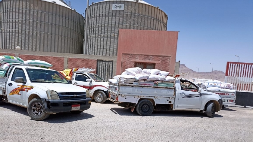 القمح في المنيا - أرشيفية