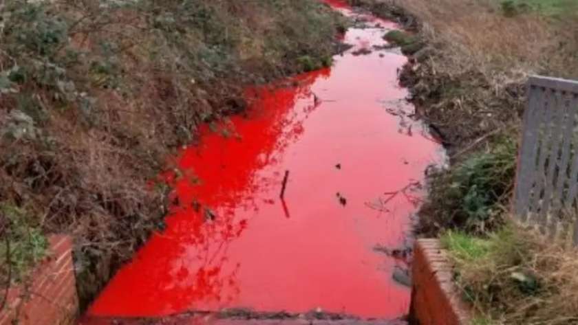 تحول نهر في بريطانيا إلى اللون الأحمر الدموي