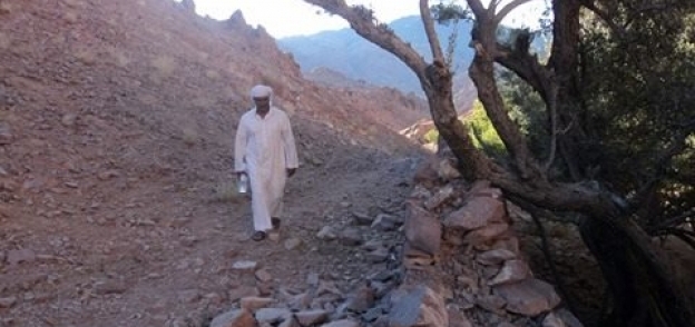 «قص الأثر» فى جنوب سيناء أوشك على الاندثار