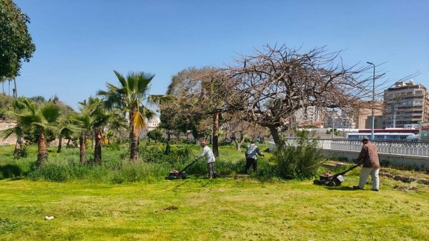 تنظيف حديقة الشلالات في الإسكندرية
