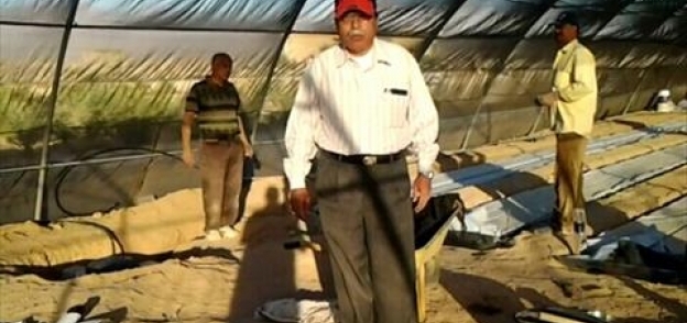 مديرية الزراعة بجنوب سيناء : يتم زراعة 14 ألف فدان بأشجار الزيتون وسيطرح مساحات زراعية أخرى للتوسع فى زراعته