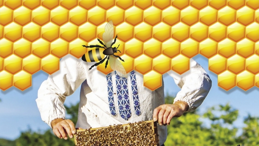 «مملكة النحل».. تعبيرية
