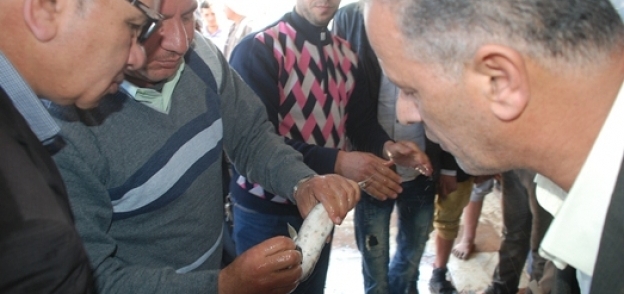 رئيس مدينة الحسينية : ينفى نفوق الأسماك بترعة السلام