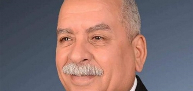 جمال أدم عضو مجلس النواب عن الوادي الجديد