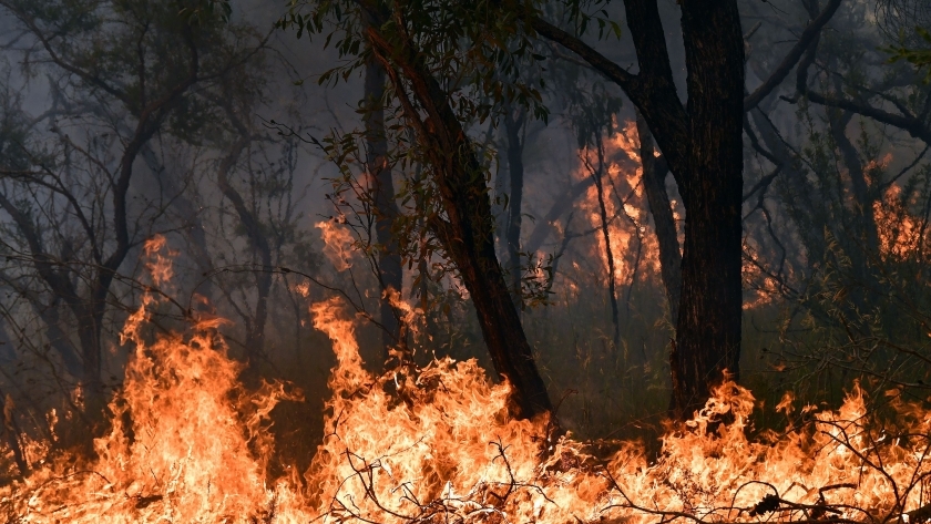 عاجل..اندلاع حريق غابات في مقاطعة يوننان الصينية