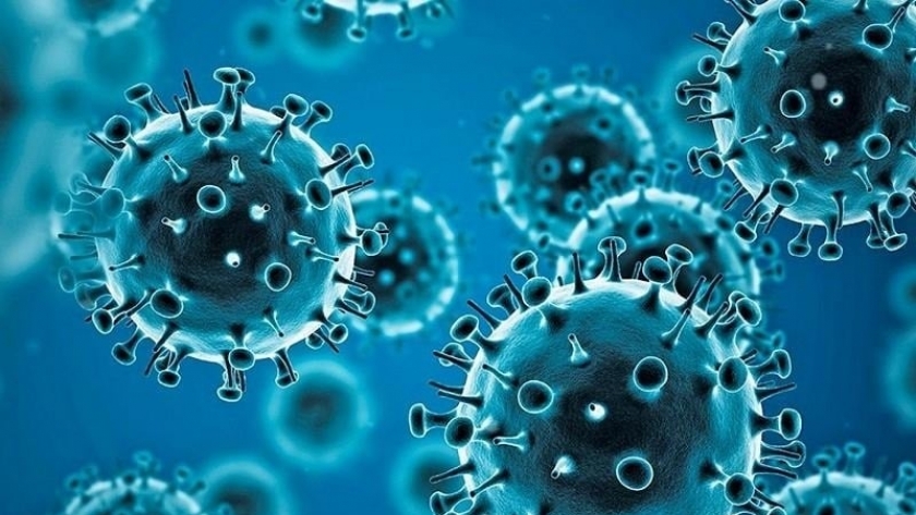 الفيروسات التنفسية