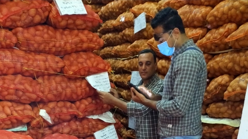 انخفاض أسعار البطاطس في مصر