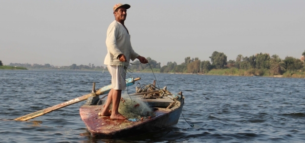 قلة نسبة الأسماك فى النيل بسبب «التكريك»