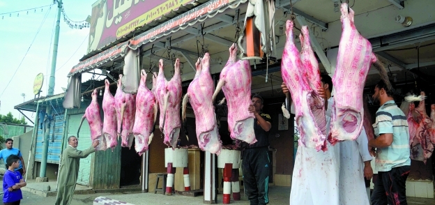 أسعار اللحوم تواصل الارتفاع فى المحافظات