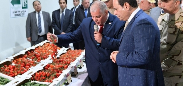 الرئيس عبدالفتاح السيسي خلال تفقد المشروعات الزراعية