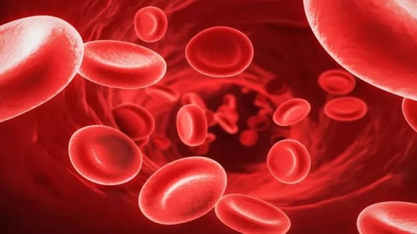 صحة الشرقية تكشف عن أعراض الإصابة ب "فقر الدم" وطرق الوقاية 