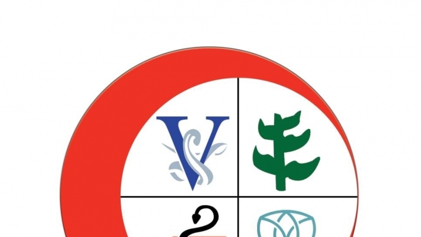 شعار اتحاد المهن الطبية