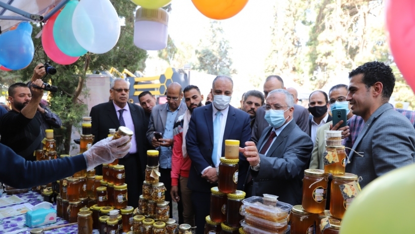 الدكتور علاء عزوز نائب وزير الزراعة خلال افتتاح مهرجان العسل المصري