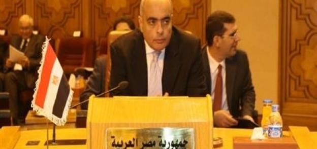 السفير  عمرو أبوالعطا