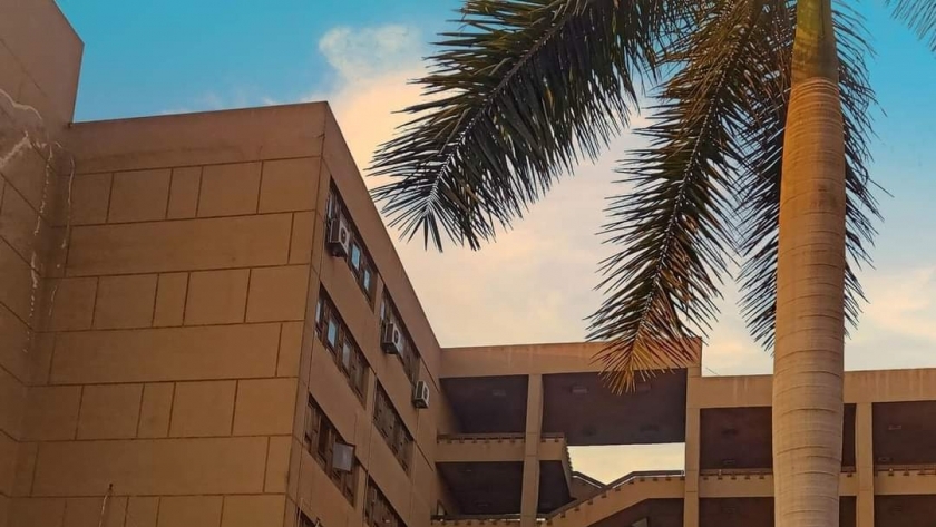 كلية الألسن جامعة عين شمس