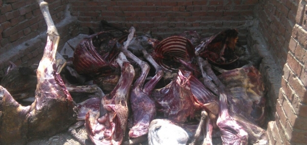 التموين توضح حقيقة تداول لحم الحمير في الأسواق