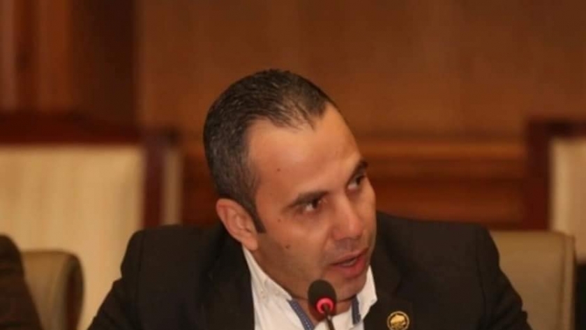 النائب محمد رضا البنا عضو لجنة حقوق الإنسان بمجلس النواب