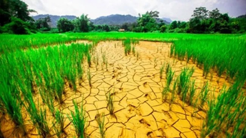 الجفاف وتدهور الأراضي الزراعية من التأثيرات السلبية للتغيرات المناخية