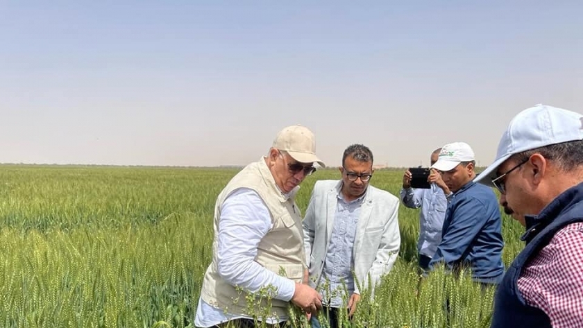 وزير الزراعة يتفقد محصول القمح خلال زيارته لأسوان اليوم