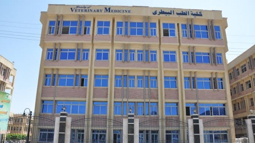كلية الطب البيطري بجامعة كفر الشيخ- أرشيفية