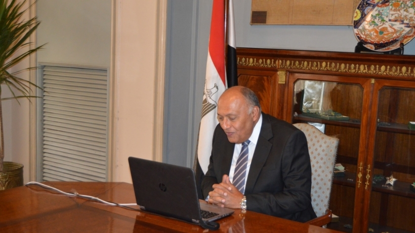 سامح شكرى وزير الخارجية المصرى
