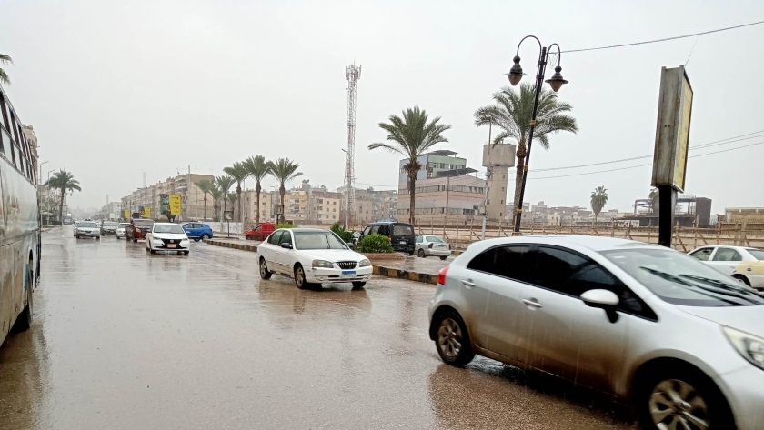 صورة سقوط أمطار في كفر الشيخ