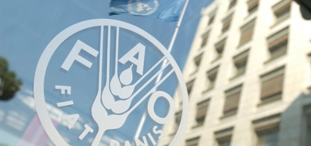 منظمة الأغذية والزراعة التابعة للأمم المتحدة "فاو"