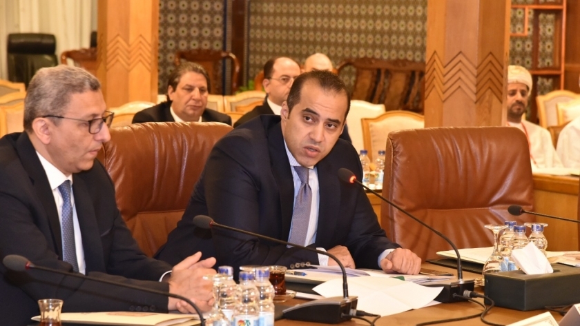المستشار محمود فوزي خلال الاجتماع