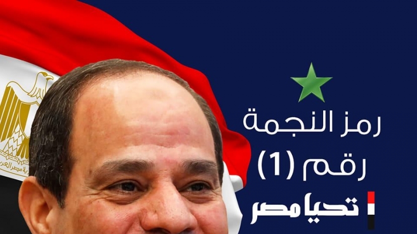 حملة «حماة الوطن» لدعم المرشح الرئاسي عبد الفتاح السيسي