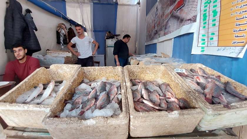 أسعار الأسماك بمعرض أهلا رمضان
