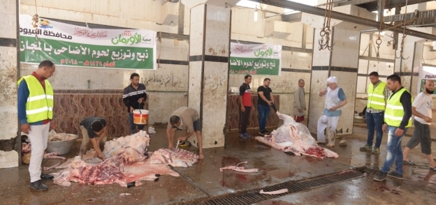 بالصور| جمعية الأورمان تذبح 600 رأس ماشية محلية لتوزيعها على المحافظات
