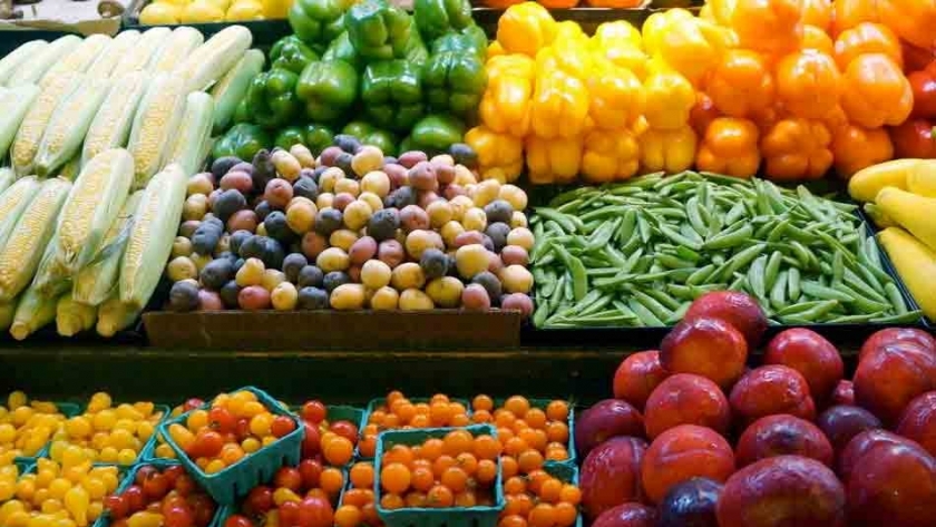 الصادرات من الخضر والفاكهة